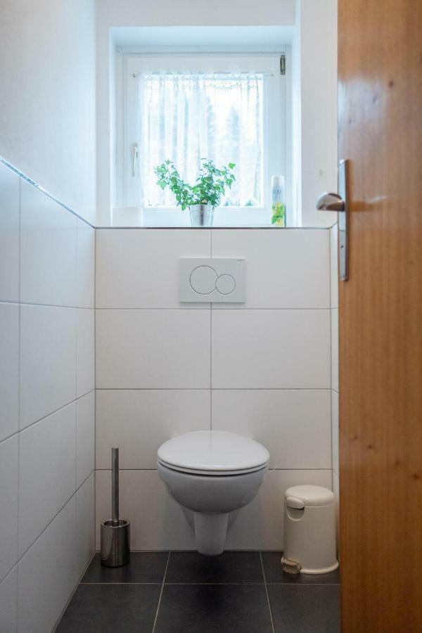 Apartment Meliessnig Mauterndorf (Salzburg)